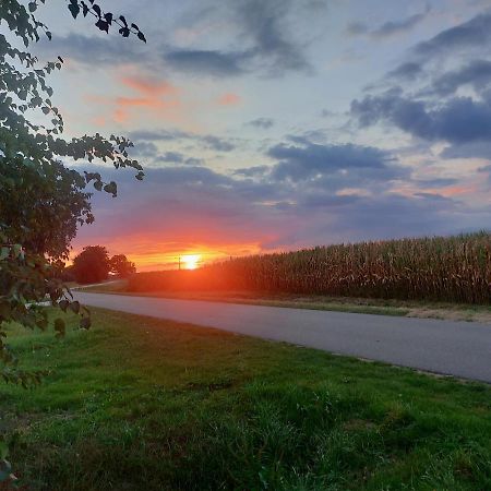 De Berenshoeve Emmen Kültér fotó